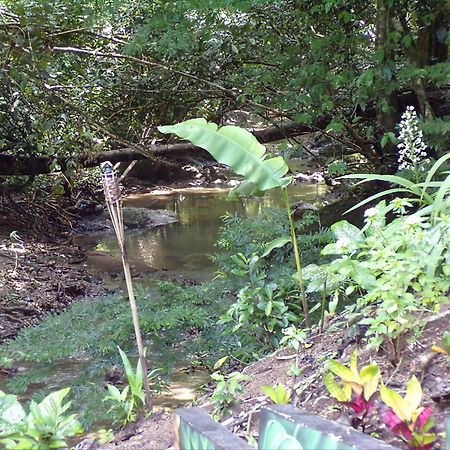 Riverside Villas Manuel Antonio Exterior photo